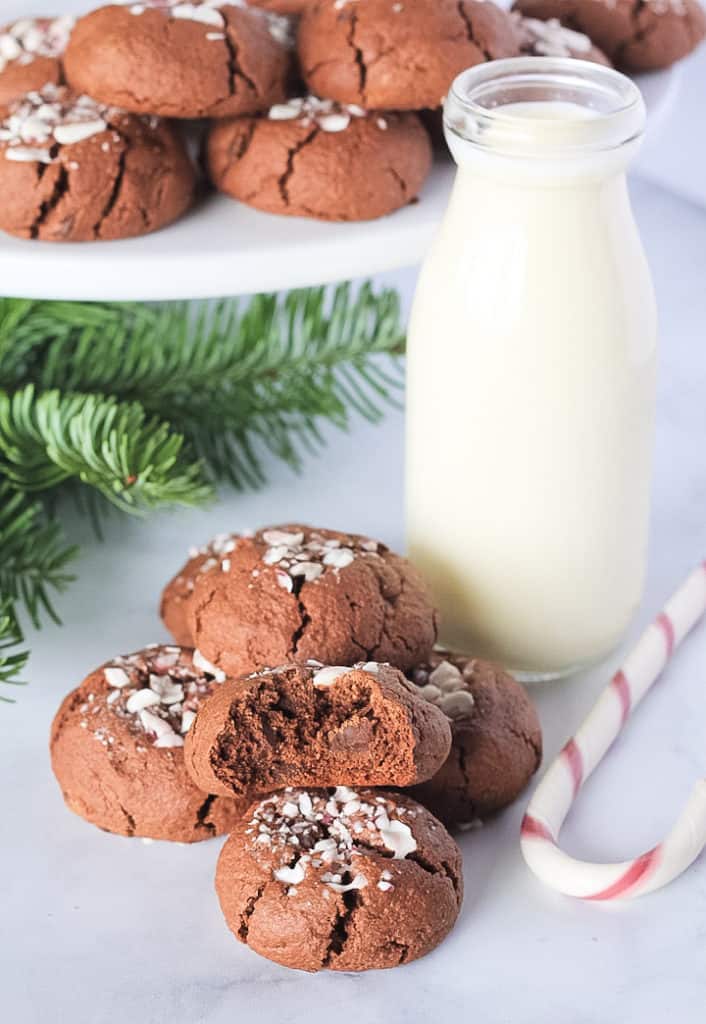Double Chocolate Peppermint Cookies